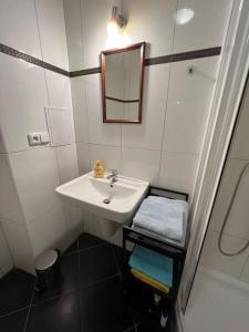 ein Bad mit einem Waschbecken, einem Spiegel und einer Dusche in der Unterkunft Modern apartment Krymská & Francouzská street in Prag