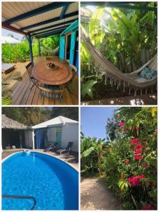 un collage di foto di una piscina e di un'amaca di Secteur prisé, bungalow Corail, Résidence CASA BOUBOU a Sainte-Anne