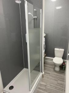 a bathroom with a shower and a toilet at Liley Apartments in Stockton-on-Tees