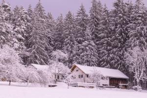 una casa cubierta de nieve frente a un bosque en Pension am Waldesrand, en Regen