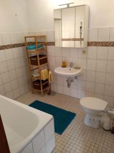 La salle de bains est pourvue d'un lavabo, de toilettes et d'un miroir. dans l'établissement Schöne Wohnung, direkt an der Weser, mit Kaminofen, à Hessisch Oldendorf