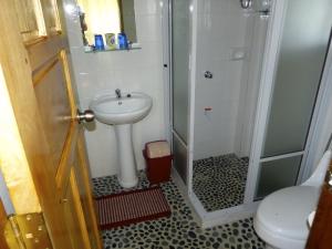 a bathroom with a shower and a sink at Blue Seastar Cottages in Agpudlos