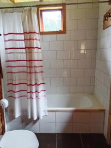 a bathroom with a tub and a shower curtain at Casa parcela Frutillar in Frutillar +53 photos