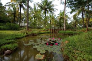 a pond with lily pads and palm trees at Shreyas Retreat in Nelamangala