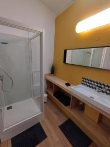 a bathroom with a shower and a sink and a mirror at Le T.Green in La Gorgue