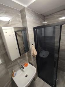 ein Bad mit einem Waschbecken, einer Dusche und einem Spiegel in der Unterkunft Cozy convenient stay in Skopje in Skopje