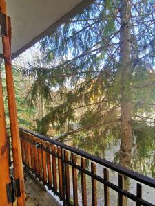 Φυσικό τοπίο κοντά σε αυτό το διαμέρισμα