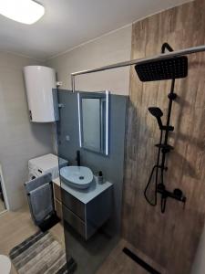 a bathroom with a shower with a toilet and a sink at Apartment & Studio Isidora in Novi Sad +34 photos