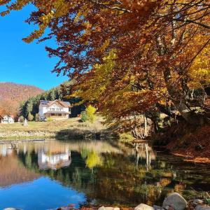 a view of a river with a house in the background at Pensiunea Poiana Țibleș in Suplai
