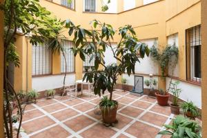 A garden outside Mia Suite. Center of Seville