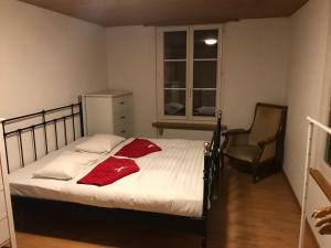 een slaapkamer met een bed, een stoel en een raam bij Simple flat in the centre of Burgdorf - 72 m2 with private parking in Burgdorf
