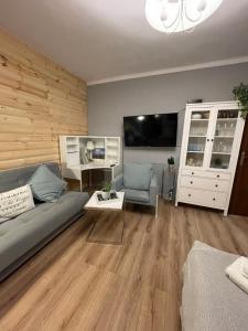 Televízia a/alebo spoločenská miestnosť v ubytovaní EXPO KRUPÓWKI 60 APARTMENT