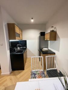 Kuchyňa alebo kuchynka v ubytovaní EXPO KRUPÓWKI 60 APARTMENT