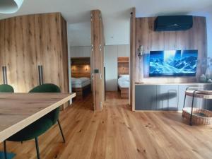 TV a/nebo společenská místnost v ubytování Apartment Deluxe Ossiacher See - Gerlitzen