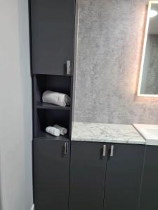 ein Badezimmer mit grauen Schränken und einer Arbeitsplatte in der Unterkunft Forth View Apartment in Stirling
