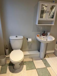 a bathroom with a toilet and a sink at The Pheasantry - guest house in beautiful rural location in Aldermaston