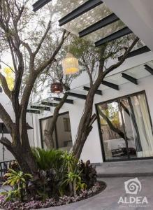 Gallery image of VILLA HUIZACHE ALBERCA PRIVADA+EXCLUSIVIDAD+LUJO in San Martín de las Pirámides