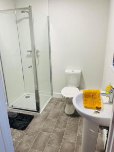 a bathroom with a shower and a toilet and a sink at Cheerful newly refurbed 5 bed! in Derby