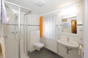 un bagno con wc, lavandino e doccia di Pension Riedlsperger a Saalbach Hinterglemm
