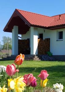 dom z czerwonym dachem i kwiatami na dziedzińcu w obiekcie Wygodny Dom na Ponidziu z Basenem w mieście Wiślica