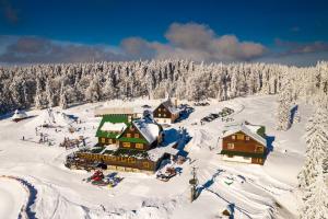 布拉格舊城區的住宿－Horský hotel Paprsek，雪中滑雪小屋的空中景致