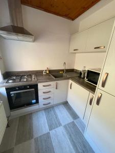 Muckross School House في Kilcar: مطبخ صغير مع موقد ومغسلة