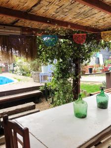 Zahrada ubytování On Planet + 9 fotografií