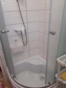 W łazience znajduje się prysznic ze szklanymi drzwiami. w obiekcie Mieszkanie na mazurach 2 w mieście Kętrzyn