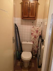 a small bathroom with a toilet and a cabinet at Appartement RDC à cœur du Mont Dore in Le Mont-Dore