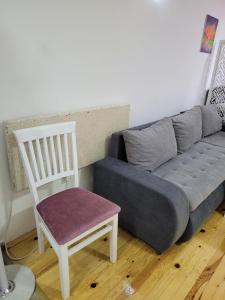 - un canapé et une chaise dans le salon dans l'établissement Apartmani Lotos, à Kaluđerske Bare