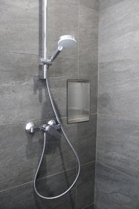 a shower with a shower head in a bathroom at Casa Ida am Hainer See in Neukieritzsch