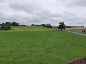 a large green field with a road in the distance at lovely apartment 