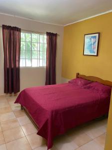 Voodi või voodid majutusasutuse Canal Inn Panama toas