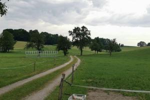 a dirt road in the middle of a field at Schöne Wohnung am Bauernhof 