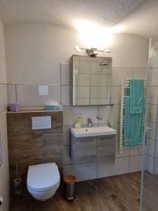 W łazience znajduje się toaleta, umywalka i lustro. w obiekcie Schöne Wohnung am Bauernhof 
