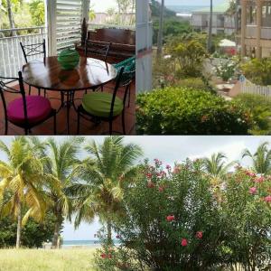 Zahrada ubytování Studio La Violette