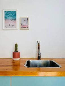 a kitchen sink with a cactus on top of a counter at Beautiful Dead Sea Unit in Ovnat