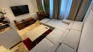 a living room with a couch and a tv at By nuit-parisienne : Superbe appartement avec SPA et terrasse privée in Villemomble