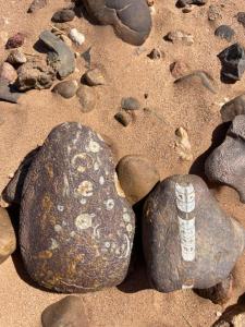 un grupo de rocas en una playa de arena en Erg Chegaga Camp & Activites, en Mhamid