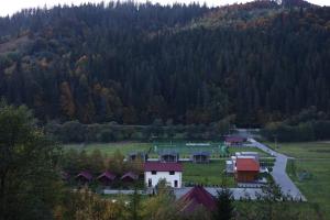 a group of houses in a field with a mountain at River Cottage Complex in Richka