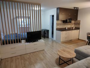 Kuchyň nebo kuchyňský kout v ubytování Apartman 8 Hill Zlatar