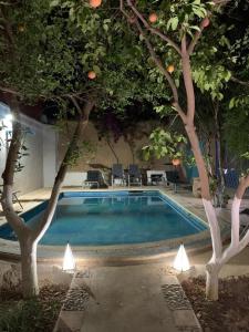 a swimming pool with trees and chairs and lights at Riad Zidania in Taroudant