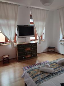 een slaapkamer met een flatscreen-tv en een bed bij RETRO HOUSE in Braşov