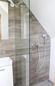 um chuveiro com uma porta de vidro na casa de banho em House with hot tub, sauna and swimming pool near Zagreb em Gudci