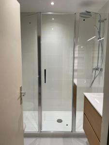 eine Dusche mit Glastür im Bad in der Unterkunft Cozy Appartement Halles Strasbourg in Straßburg