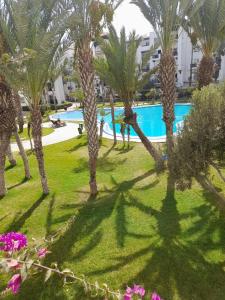 un groupe de palmiers en face d'une piscine dans l'établissement Marina Agadir appartement, à Agadir