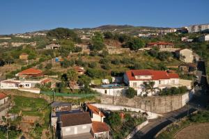 レゼンデにあるQuintinha de Mirão - Douro Valleyの丘の上の家屋街の空中風景