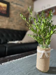 um vaso com uma planta sentada sobre uma mesa em A Costa, Valle del Mendo em Oza dos Ríos