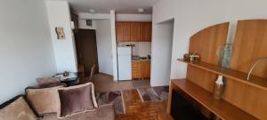 Apartman Velimir Stari Aerodrom的厨房或小厨房