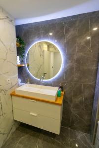 La salle de bains est pourvue d'un lavabo et d'un miroir. dans l'établissement Chic et Elégant à Villeurbanne, à Villeurbanne